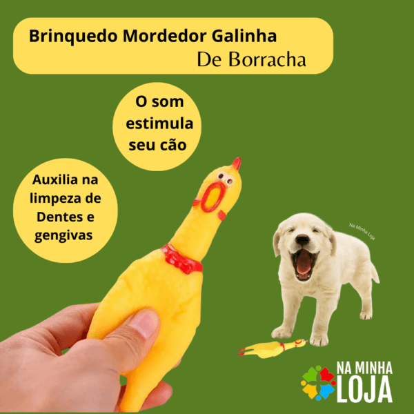Mordedor Galinha Pequena para Pets